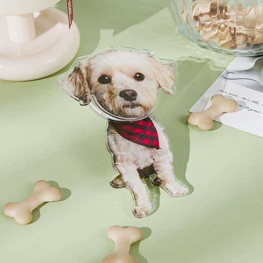 Aimant de réfrigérateur personnalisé avec photo d'animal de compagnie, aimants de réfrigérateur, décalcomanie, décoration de la maison