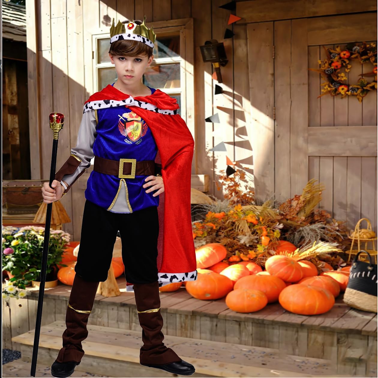 Kid's Boy Medieval Prince King Costume