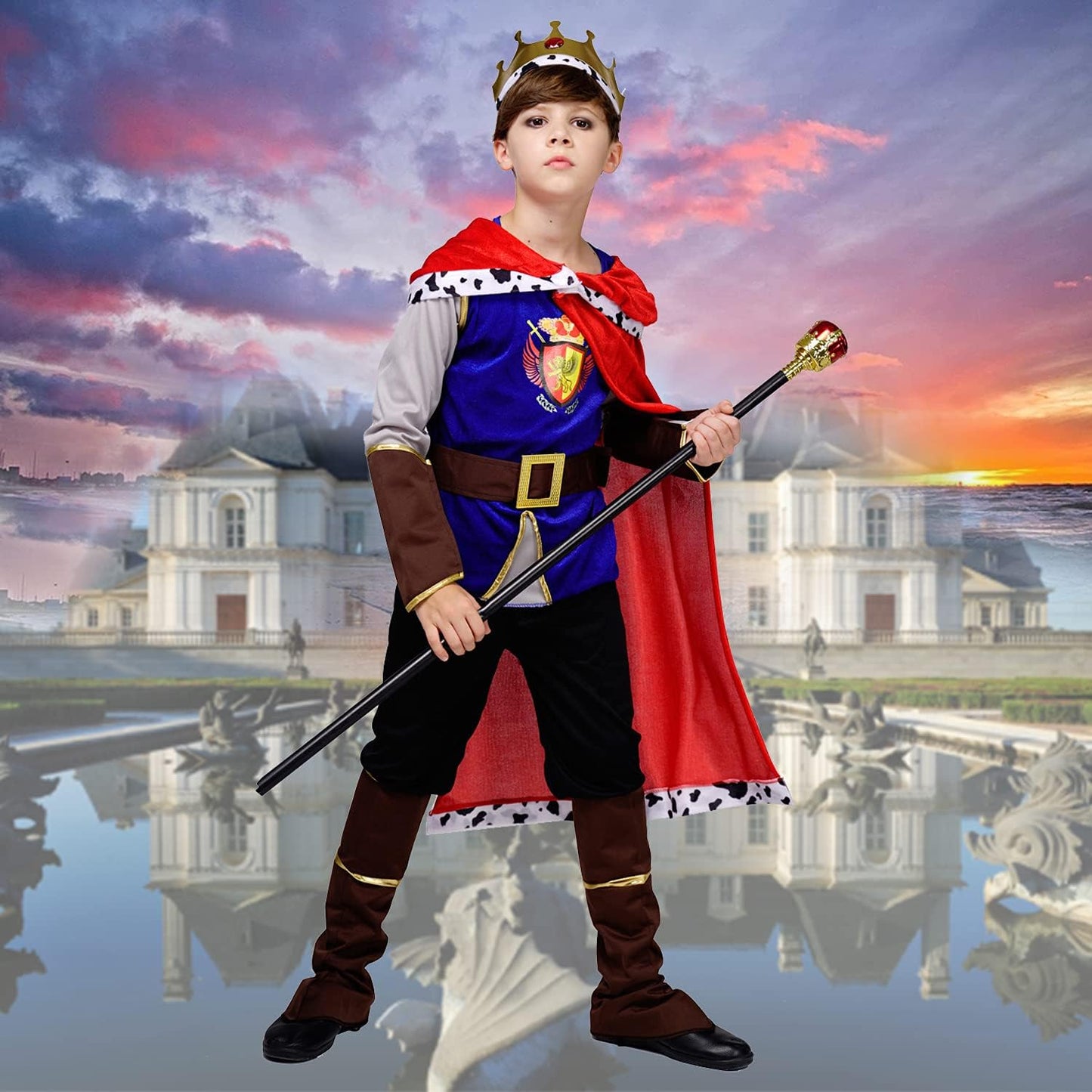 Kid's Boy Medieval Prince King Costume