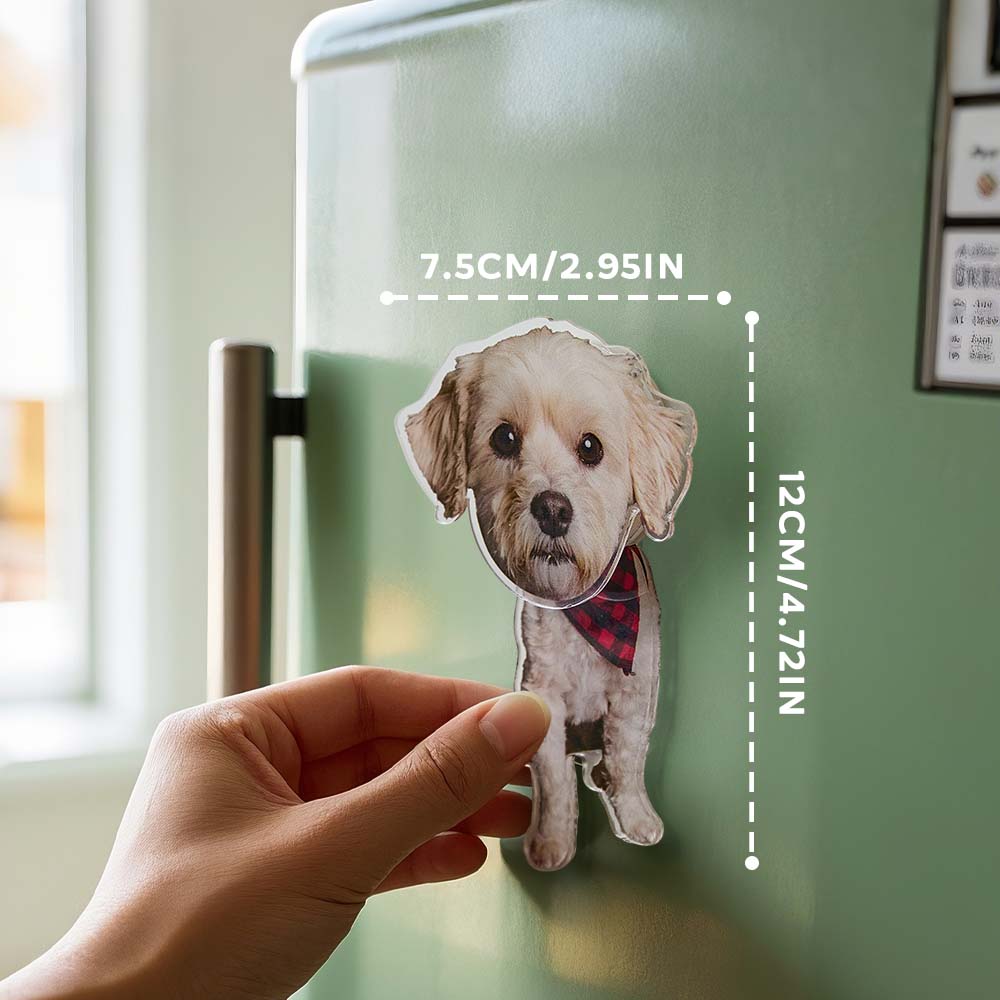 Aimant de réfrigérateur personnalisé avec photo d'animal de compagnie, aimants de réfrigérateur, décalcomanie, décoration de la maison