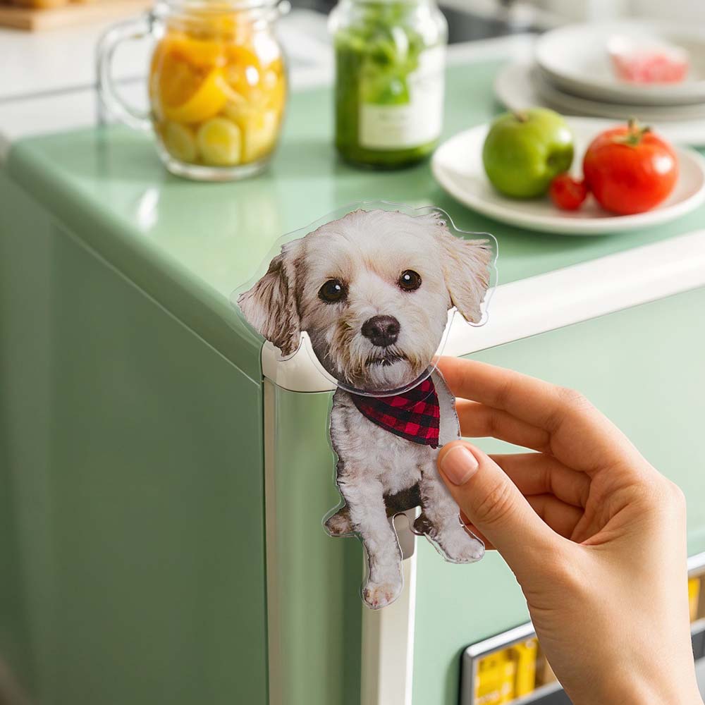 Aimant de réfrigérateur personnalisé avec photo d'animal de compagnie, aimants de réfrigérateur, décalcomanie, décoration de la maison