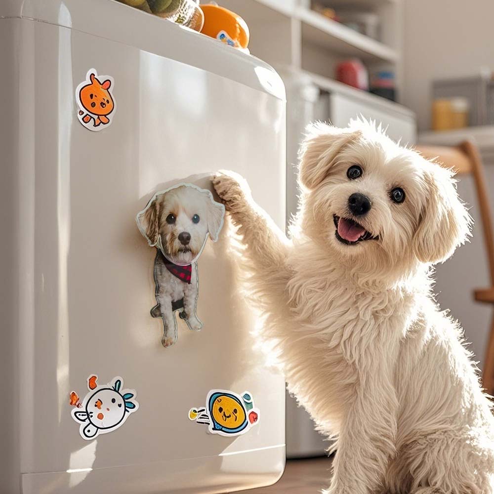 Aimant de réfrigérateur personnalisé avec photo d'animal de compagnie, aimants de réfrigérateur, décalcomanie, décoration de la maison