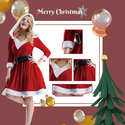 Adult Christmas Santa Dress Costume for Women