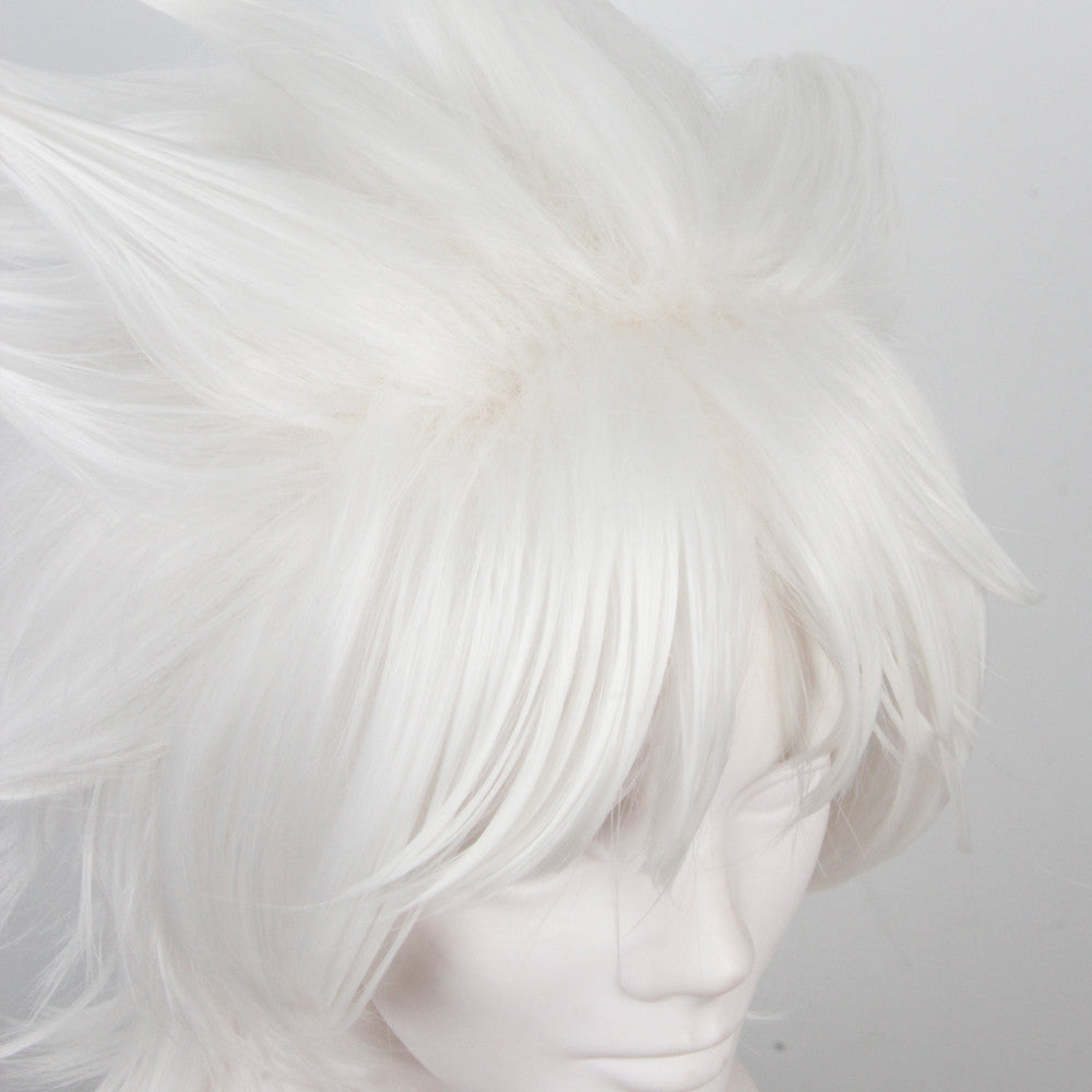 Fate Apocrypha Amakusa Shirou Tokisada Short White Anime Cosplay Wigs 235I