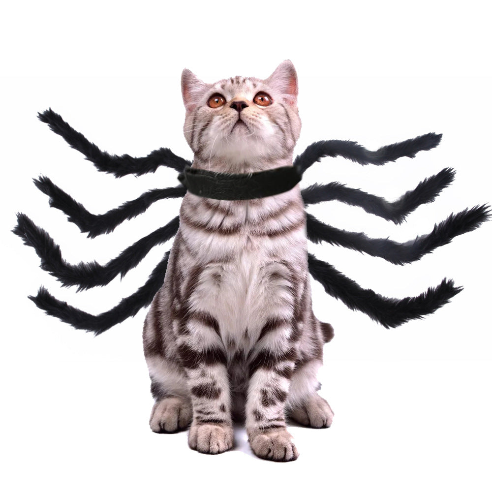 Pet Cat Dog Halloween Creative Spider Costume