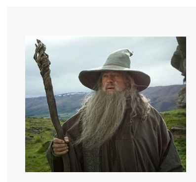 Harry Potter Albus Dumbledore Cosplay Wig Mustache