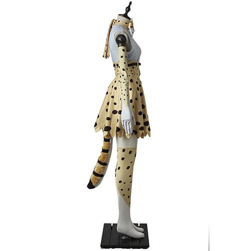 Kemono Friends Leptailurus Serval Spheniscus Humboldti