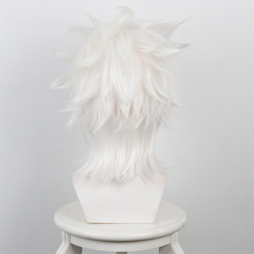 Fate Apocrypha Amakusa Shirou Tokisada Short White Anime Cosplay Wigs 235I