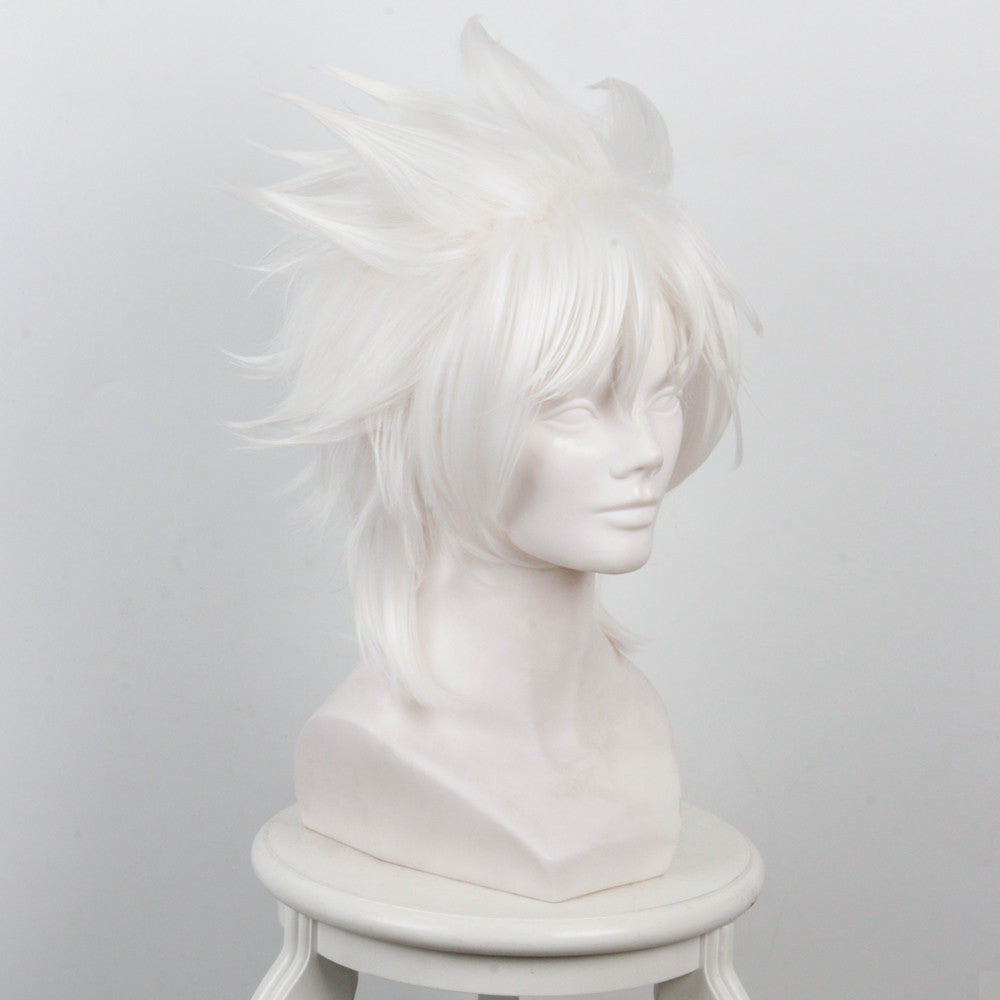 Fate Apocrypha Amakusa Shirou Tokisada Short White Anime Cosplay Wigs 235I