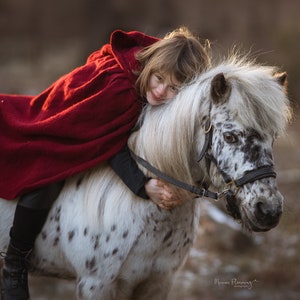 Red Riding Hood Cape, Little Red Riding Hood, Long Wool Coat, Capelet With Hood, Wool Cloak Cape, Red Wool Coat, Red Hooded Cloak