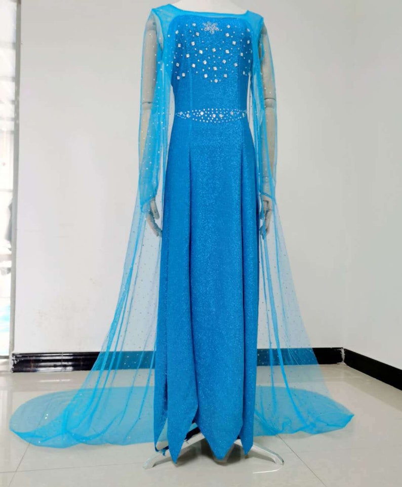 Elsa Dresses for Adult Costumes Frozen Princess Dress Girls  Elsa Cosplay Dress Accessories Halloween